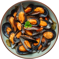 Mussels